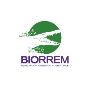 Logo_Biorrem_SpA-300x300