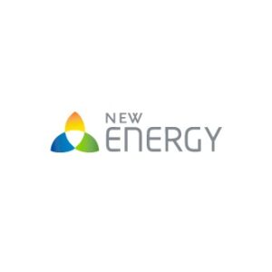 logo_new_energy-300x300